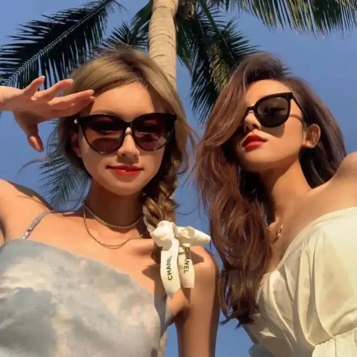 哥斯拉对美加洛